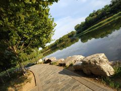 -大兴滨河森林公园