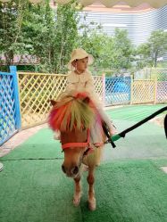 -萌宠亲子动物乐园(槐房万达店)