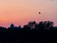 -南宁南湖公园