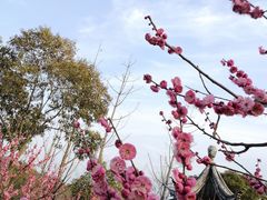 景点-太湖渔洋山