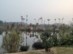 -枫香湖儿童公园