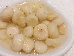 桂花马蹄-和庆斋羊蝎子火锅·碳缸烧烤(顺义旗舰店)