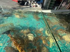 -芦潮港集贸市场