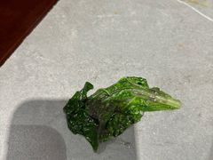 -蛙兔鸡自贡风味·特色江湖菜(广都店)