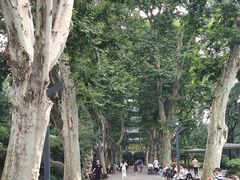 -静安公园(静安寺街道)