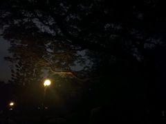 -四海公园(南山区)