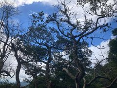 -太平山顶