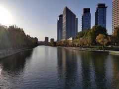 -三里屯东五街银杏大道