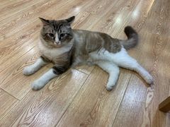 -白兔子密室(长寿路店)