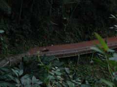 -东南悬空寺方广岩