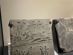 -四川大学博物馆