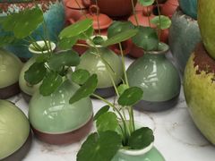 -龙大花卉苗木市场