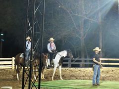 -清迈夜间动物园