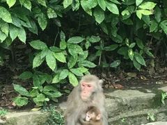 -黔灵山公园-南门售票处