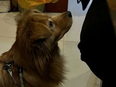 -吾家香港烧腊专门店