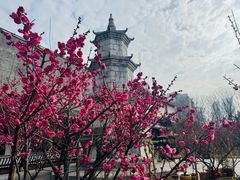 -长春观