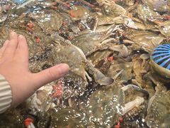-钱库里海鲜自助(唐山街店)