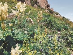 -白草畔自然风景区