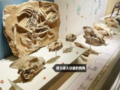 -国家自然博物馆