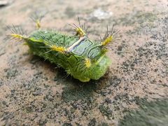 -湖洞水自然风景区
