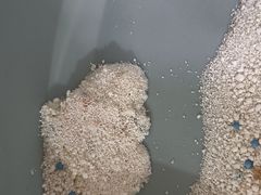 -谐和益家动物医院·免疫绝育·血液透析·宠保定点医院(高新伊藤分院)