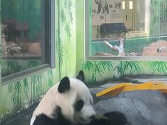 -秦皇岛野生动物园