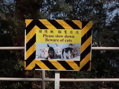 -大埔公路-马料水段香港中文大学(公交站)