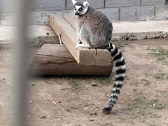 -大青山野生动物园