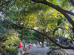 -白沙古井