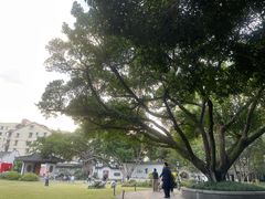 -墨池公园