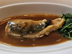 -子福慧(虹桥店)