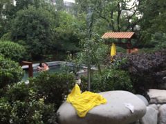 -西安华清御汤酒店