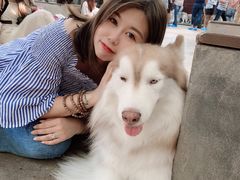 -TrueLove @ Neverland (Husky Cafe)