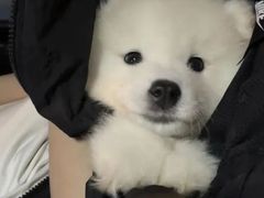 -东哥面包 DONCO BAKERY(万风新天地购物中心店)