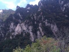 -王顺山国家森林公园