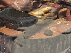 -永茂驴肉(莲池南大街总店)