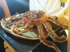 帝王蟹/斤-本逸·割烹料理(湖墅店)