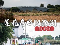 -莲花岛景区