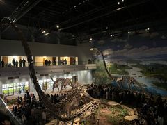 -自贡恐龙博物馆