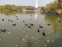 -南昌动物园