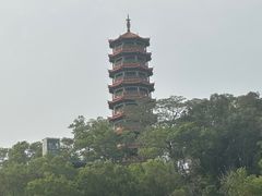 -红花山公园