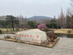 -习家池