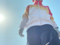 -仙人岛