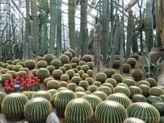 -南山植物园