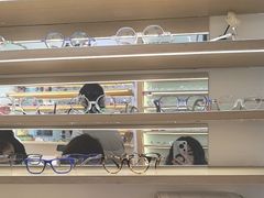 -青聪儿童眼镜(五官科医院宝庆路店)