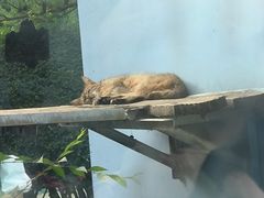-青藏高原野生动物园
