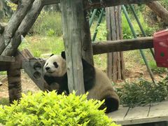 -大连森林动物园