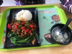 -上海野生动物园老虎餐厅