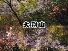 -皖西大裂谷