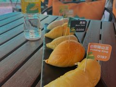 -榴莲BB 四季果园
